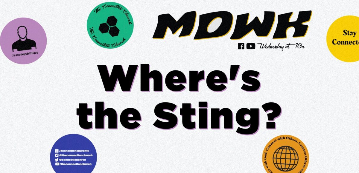 Where's the Sting?